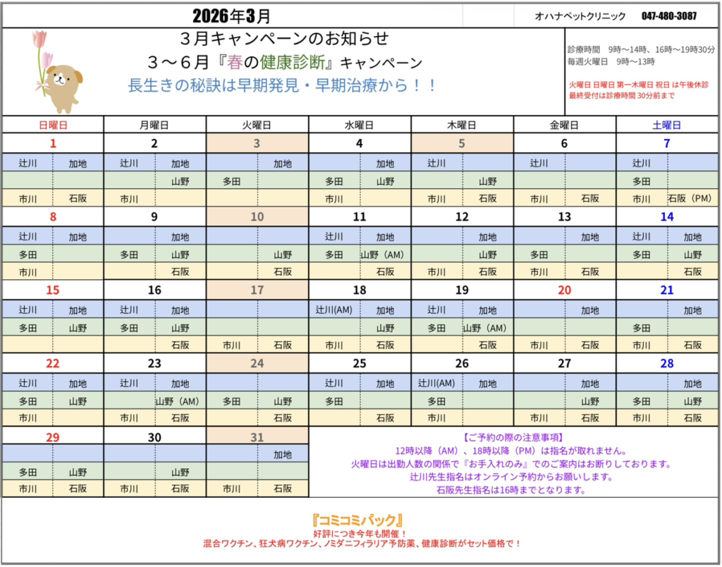 ３月の診療案内 | オハナペットクリニック｜八千代市・船橋市の夜間診療対応の動物病院です